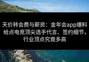天价转会费与薪资：金年会app爆料给点电竞顶尖选手代言、签约细节，行业顶点究竟多高