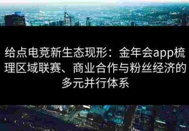 给点电竞新生态现形：金年会app梳理区域联赛、商业合作与粉丝经济的多元并行体系